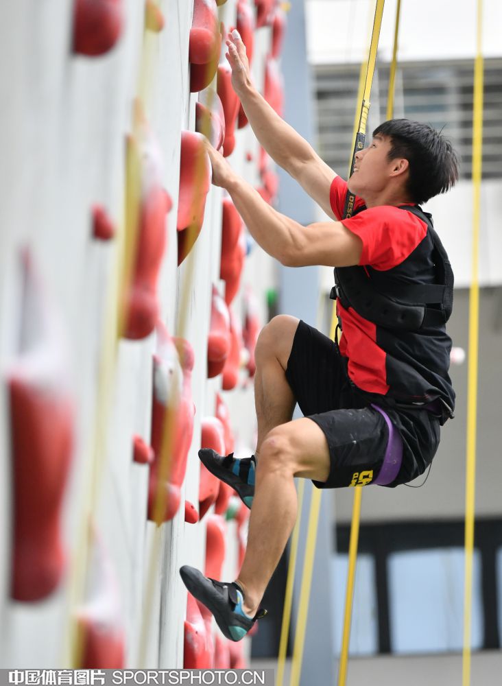 包含赛前体能课后，北京首钢刷新队史纪录备战法国杯，赛场秩序良好，轮换策略成焦点的词条